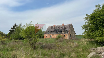 Działka Sprzedaż Plöwen, Löcknitz-Penkun, Vorpommern-Greifswald, Meklemburgia-Pomorze Przednie, 17322, Niemcy retziner weg