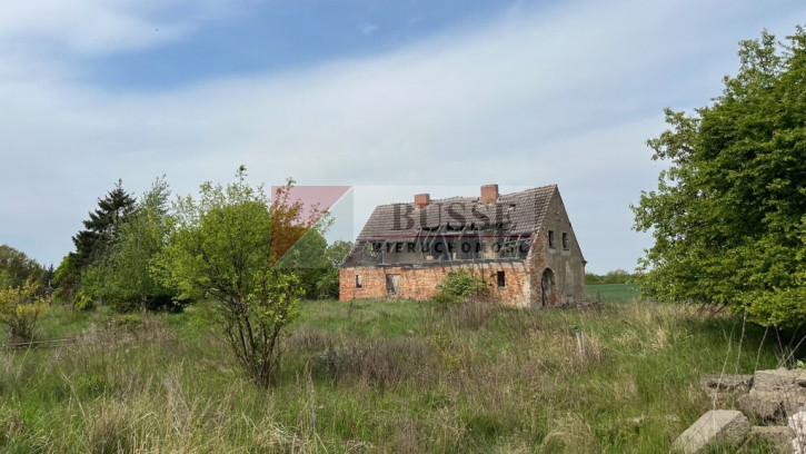 Działka Sprzedaż Plöwen, Löcknitz-Penkun, Vorpommern-Greifswald, Meklemburgia-Pomorze Przednie, 17322, Niemcy retziner weg 13