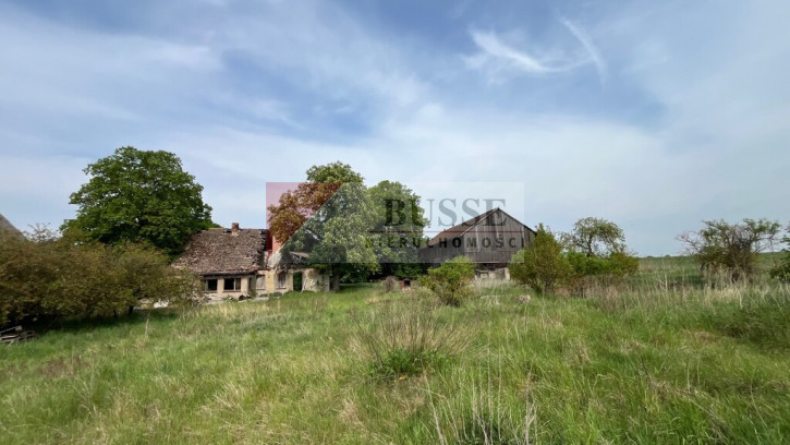 Działka Sprzedaż Plöwen, Löcknitz-Penkun, Vorpommern-Greifswald, Meklemburgia-Pomorze Przednie, 17322, Niemcy retziner weg 11
