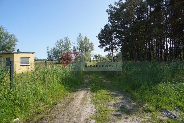 Działka Sprzedaż Międzywodzie 14