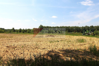 Działka Sprzedaż Grabowo