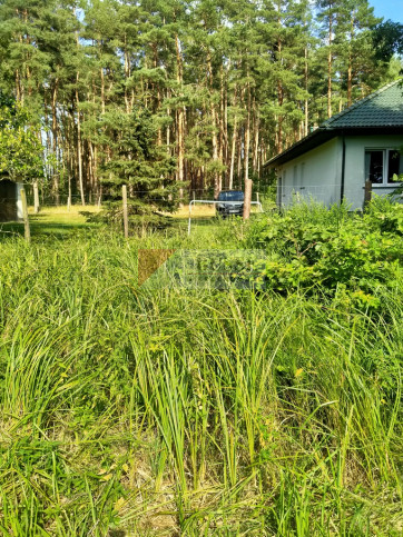Działka Sprzedaż Tanowo Szczecińska 6