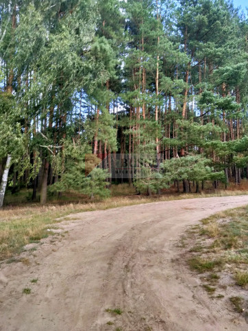 Działka Sprzedaż Tanowo Szczecińska 2