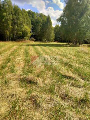 Działka Sprzedaż Grzepnica 1