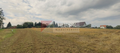 Działka Sprzedaż Barnisław