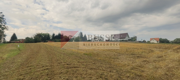 Działka Sprzedaż Barnisław 4