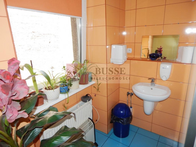 Lokal Wynajem Szczecin Śródmieście-Centrum 12
