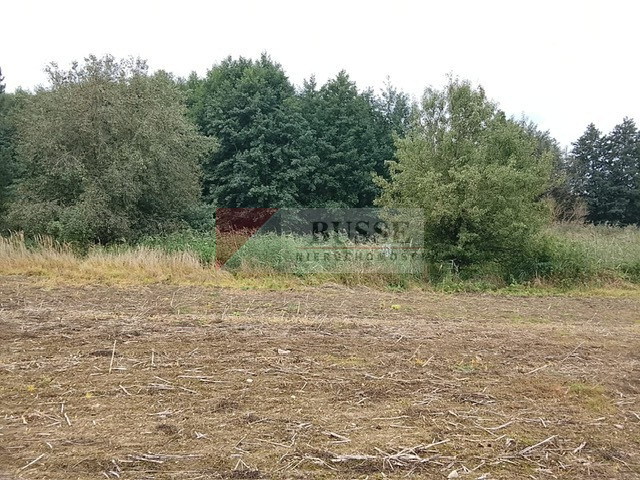 Działka Sprzedaż Stara Dąbrowa 14