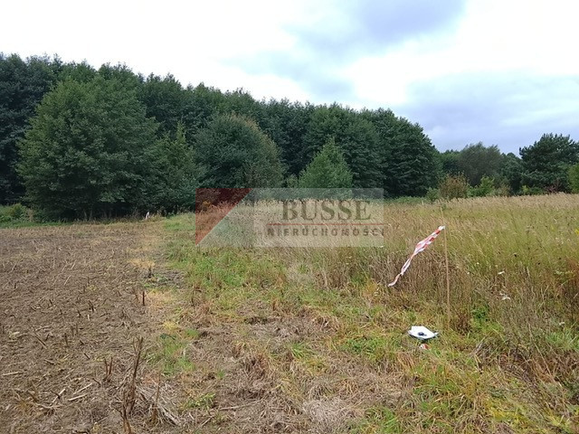 Działka Sprzedaż Stara Dąbrowa 18