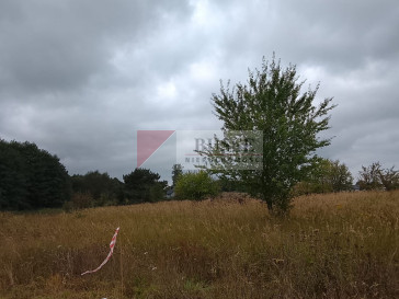 Działka Sprzedaż Stara Dąbrowa