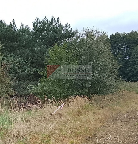 Działka Sprzedaż Stara Dąbrowa 23