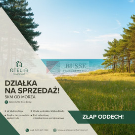 Działka Sprzedaż Szczenurze