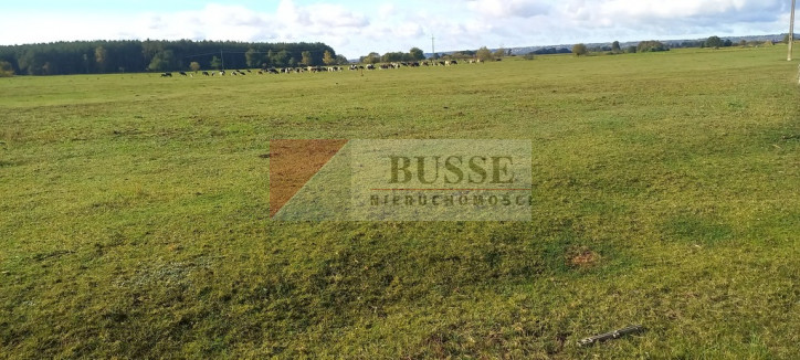 Działka Sprzedaż Borzysławiec 3