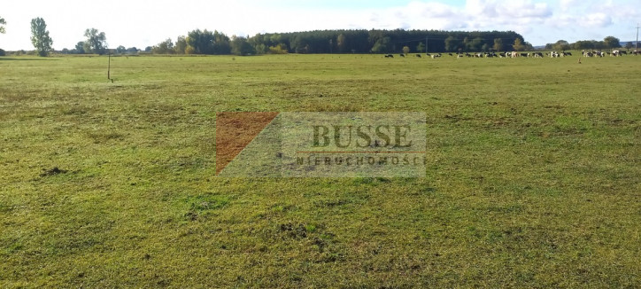 Działka Sprzedaż Borzysławiec 5