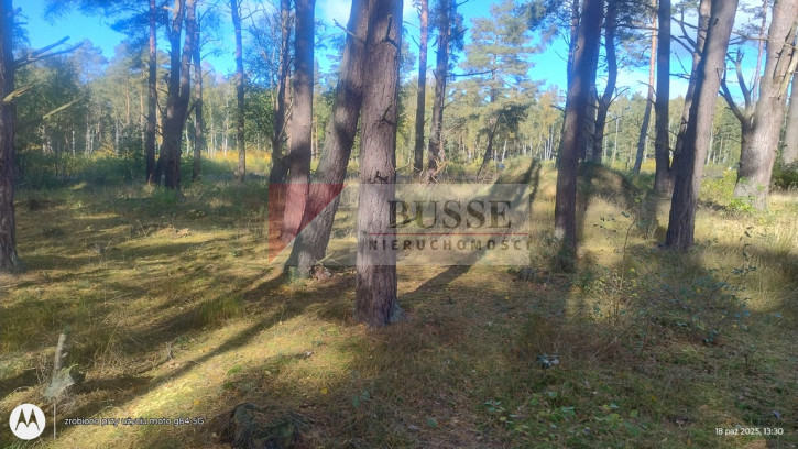 Działka Sprzedaż Dziwnów 1
