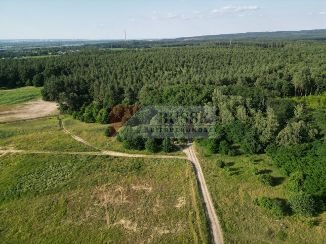 Działka Sprzedaż Daleszewo 2