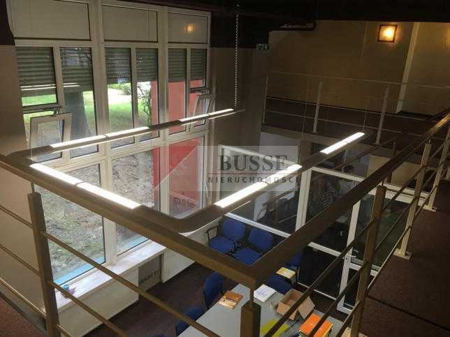Lokal Wynajem Szczecin Śródmieście-Centrum 7