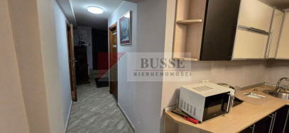 Lokal Wynajem Szczecin Śródmieście-Centrum