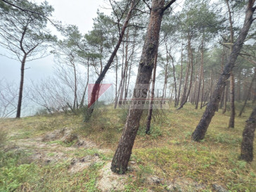 Mieszkanie Sprzedaż Międzywodzie Westerplatte