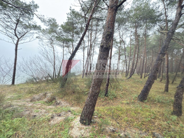 Mieszkanie Sprzedaż Międzywodzie Westerplatte 17