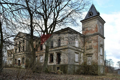 Dom Sprzedaż Wierzbięcin
