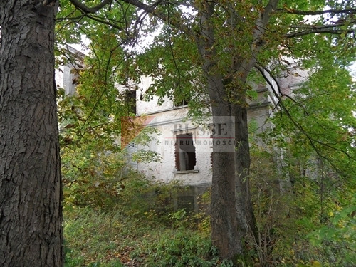 Obiekt Sprzedaż Wierzbięcin 10