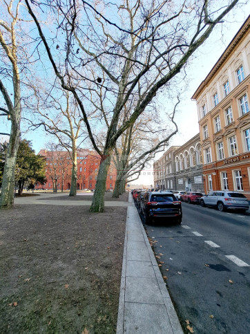 Lokal Wynajem Szczecin Nowe Miasto 10
