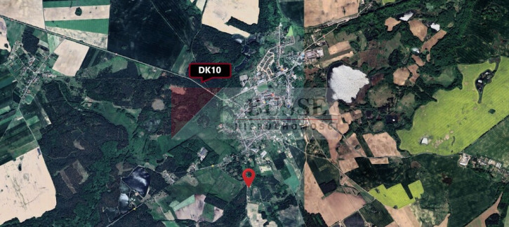 Działka Sprzedaż Recz Leśna 2