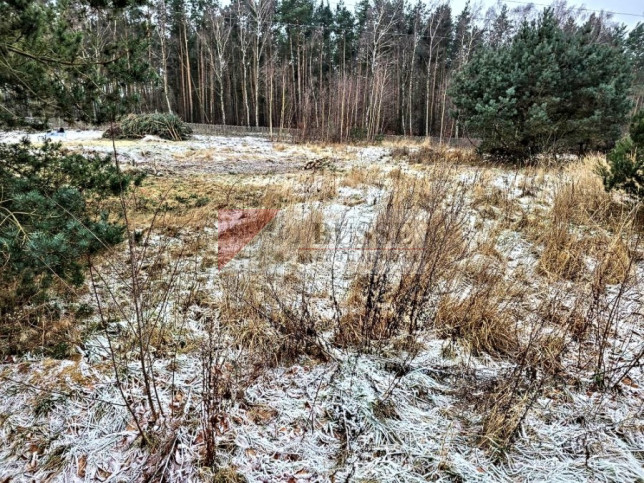 Działka Sprzedaż Dargobądz 2