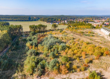 Działka Sprzedaż Dargobądz