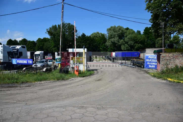 Działka Wynajem Szczecin Dąbie 3