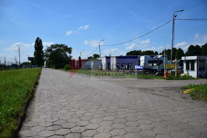 Działka Wynajem  Dąbie 4