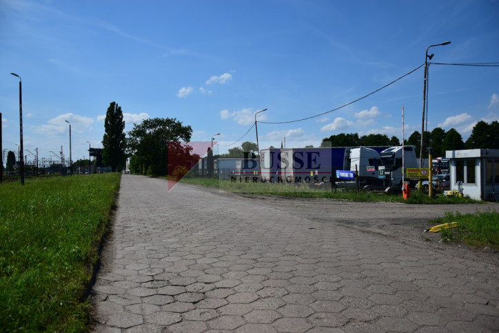 Działka Wynajem  Dąbie 15