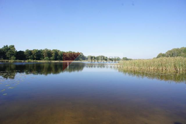 Działka Sprzedaż Dobra 2