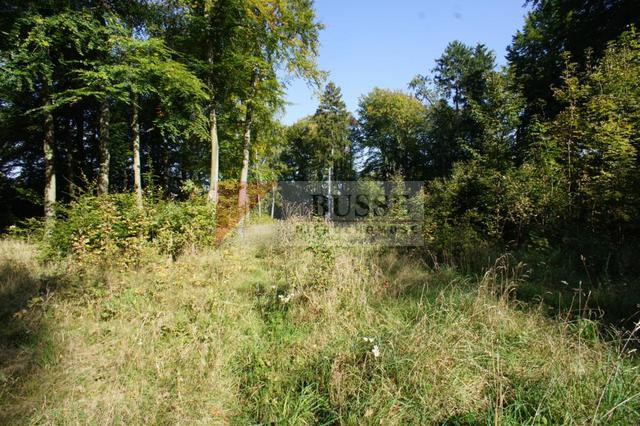 Działka Sprzedaż Dobra 12