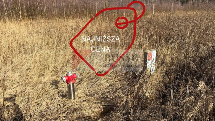 Działka Sprzedaż Żółwia Błoć 1