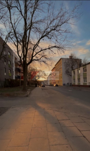 Lokal Wynajem Szczecin Śródmieście Jana Kazimierza 10