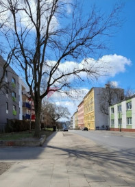 Lokal Wynajem Szczecin Śródmieście Jana Kazimierza