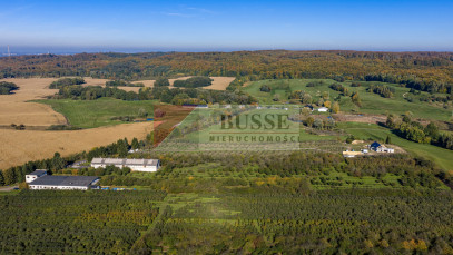 Obiekt Sprzedaż Binowo