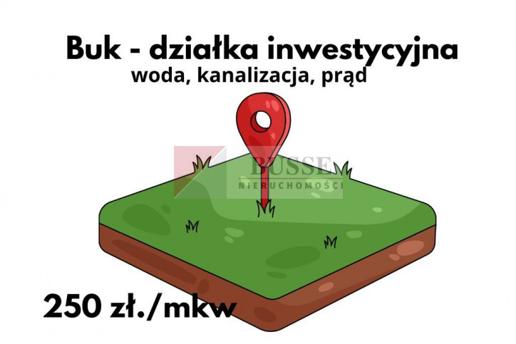 Działka Sprzedaż Buk 1