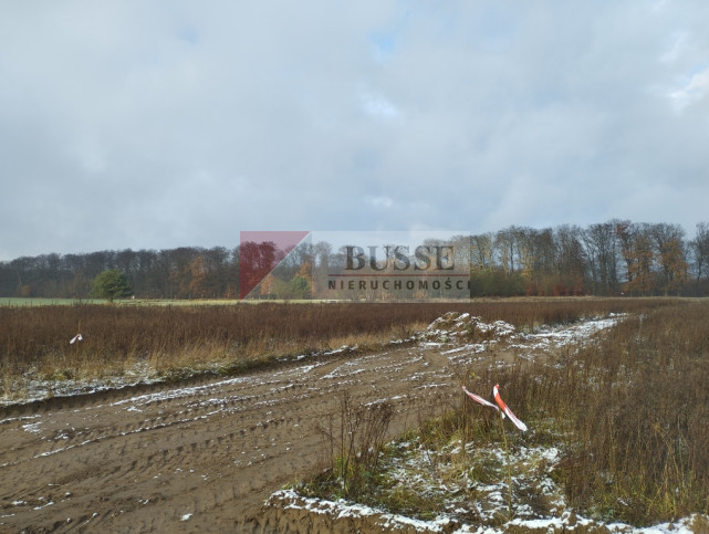 Działka Sprzedaż Dobropole Gryfińskie 5