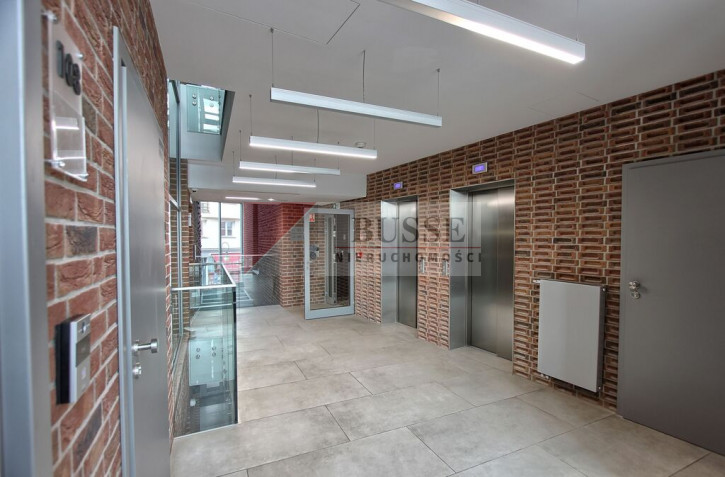 Lokal Wynajem Szczecin Stare Miasto 6