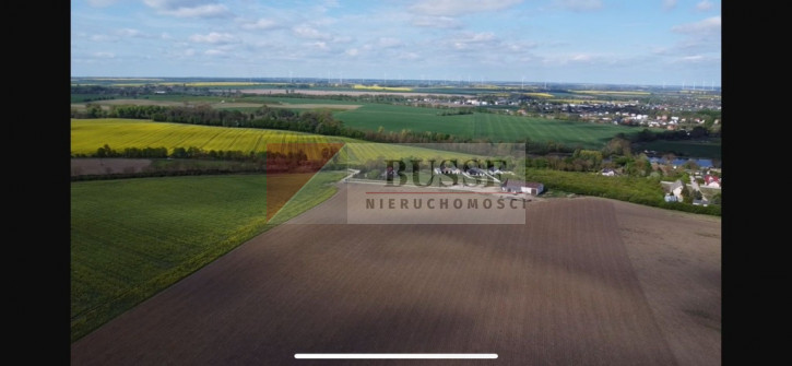 Działka Sprzedaż Pyrzyce 2