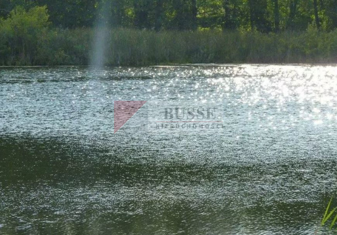 Działka Sprzedaż Zieleniewo 7
