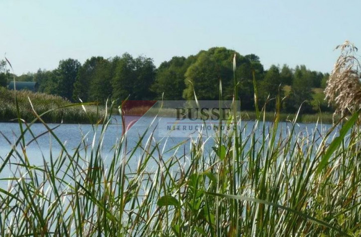 Działka Sprzedaż Zieleniewo 6