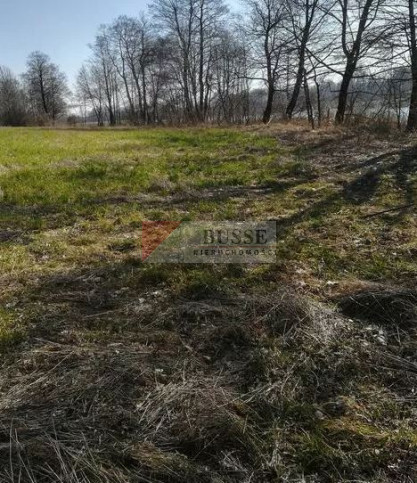 Działka Sprzedaż Kaszewo 6