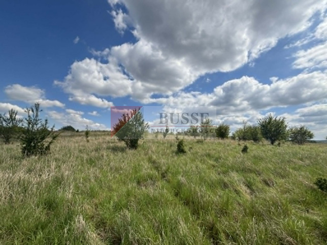 Działka Sprzedaż Gryfino 1