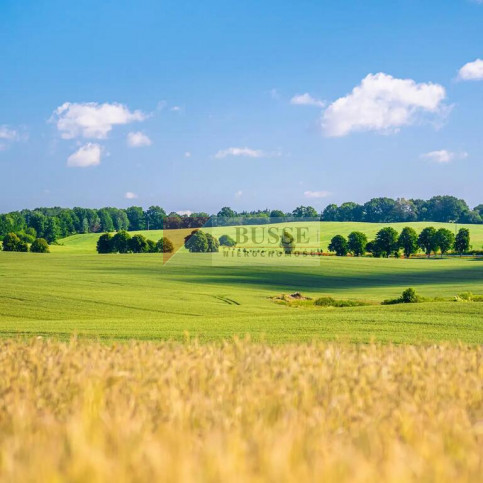Działka Sprzedaż Przemocze 2