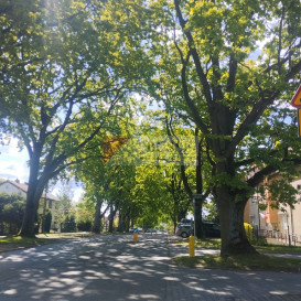 Mieszkanie Sprzedaż Szczecin Warszewo Szwedzka