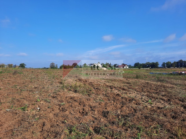 Działka Sprzedaż Kurów Na Klifie 19